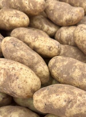 A Selection Of Russet Potatoes At A Grocery Store