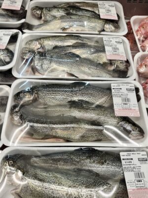 Farm Raised Whole Trout In A Grocery Store (Portrait)