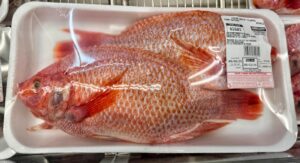 Fresh Whole Tilapia Farm Raised Tray