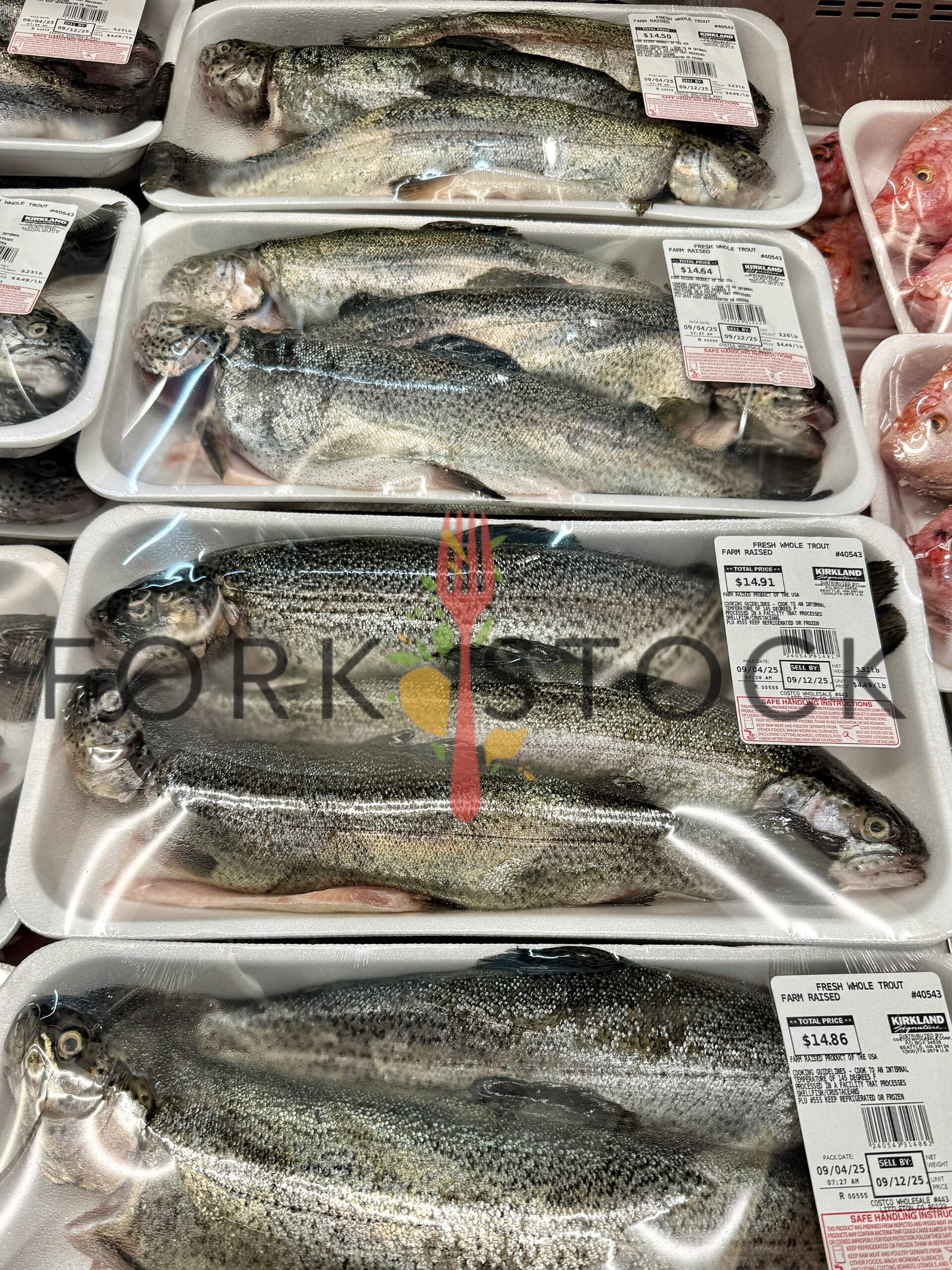 Farm Raised Whole Trout In A Grocery Store (Portrait)