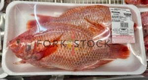 Fresh Whole Tilapia Farm Raised Tray