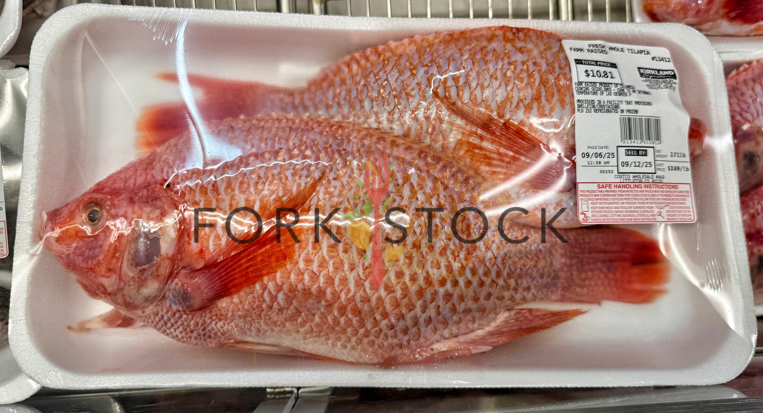 Fresh Whole Tilapia Farm Raised Tray