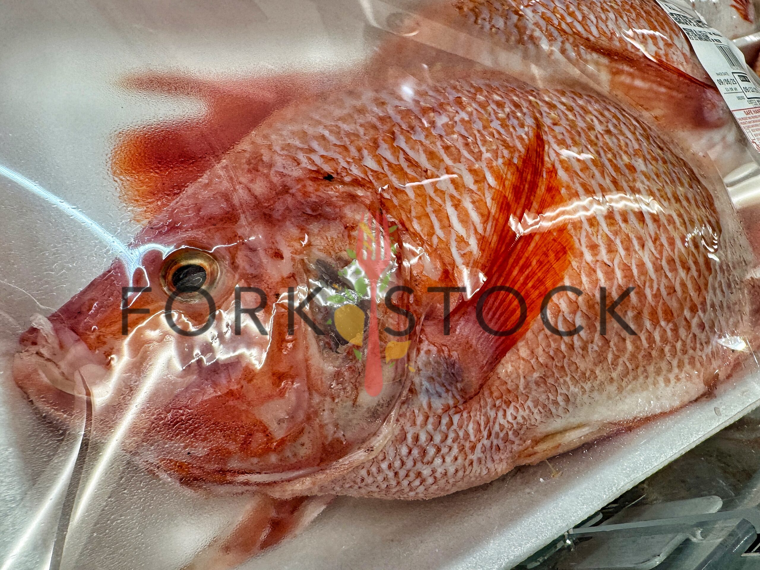 Fresh Whole Tilapia Farm Raised Tray Macro