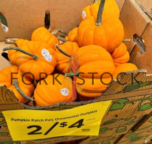 Ornamental Pumpkins In A Box