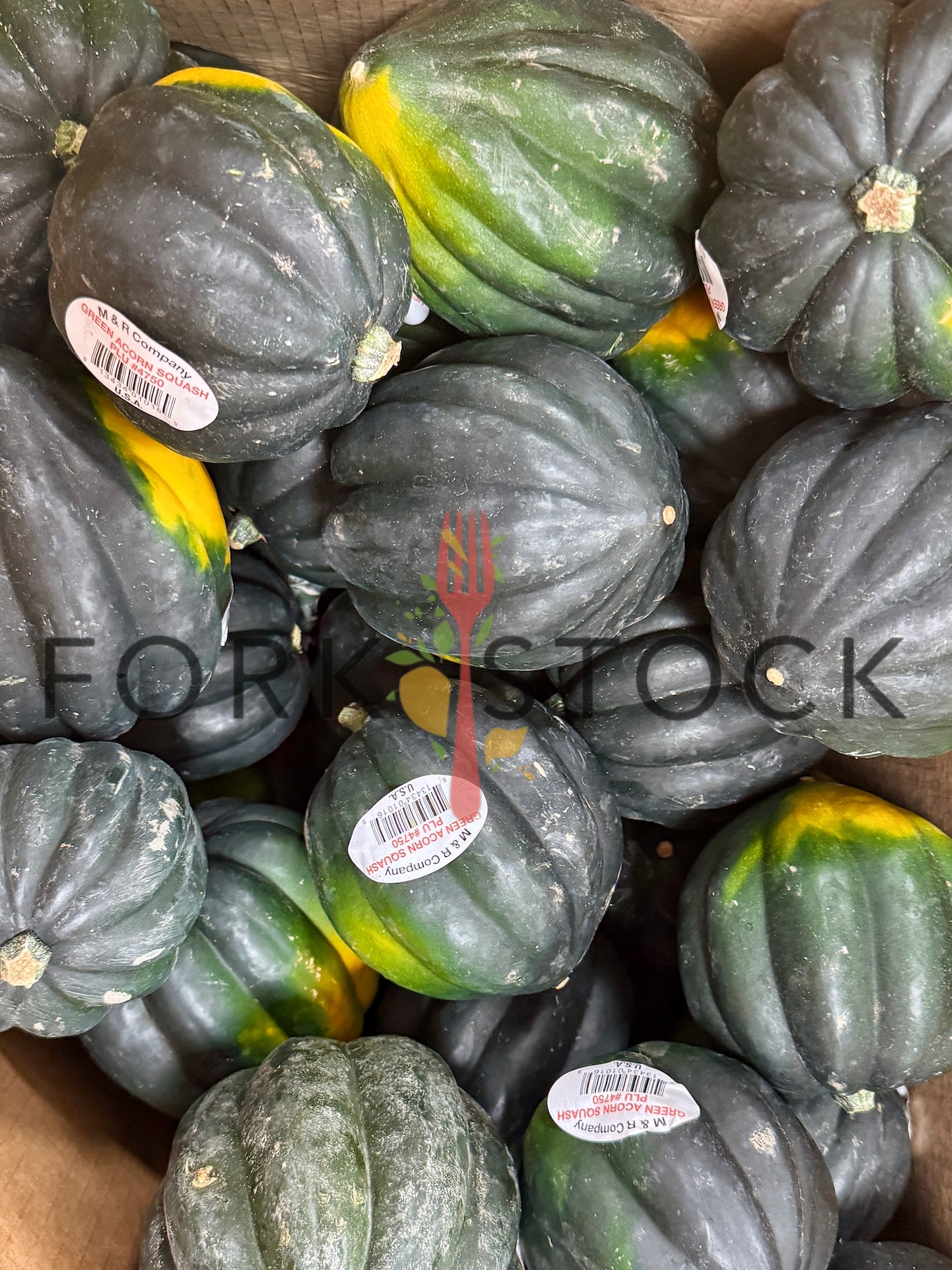 Green Acorn Squash In A Pallet At A Grocery Store