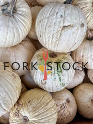 Casper White Pumpkin Or Lumina Pumpkins