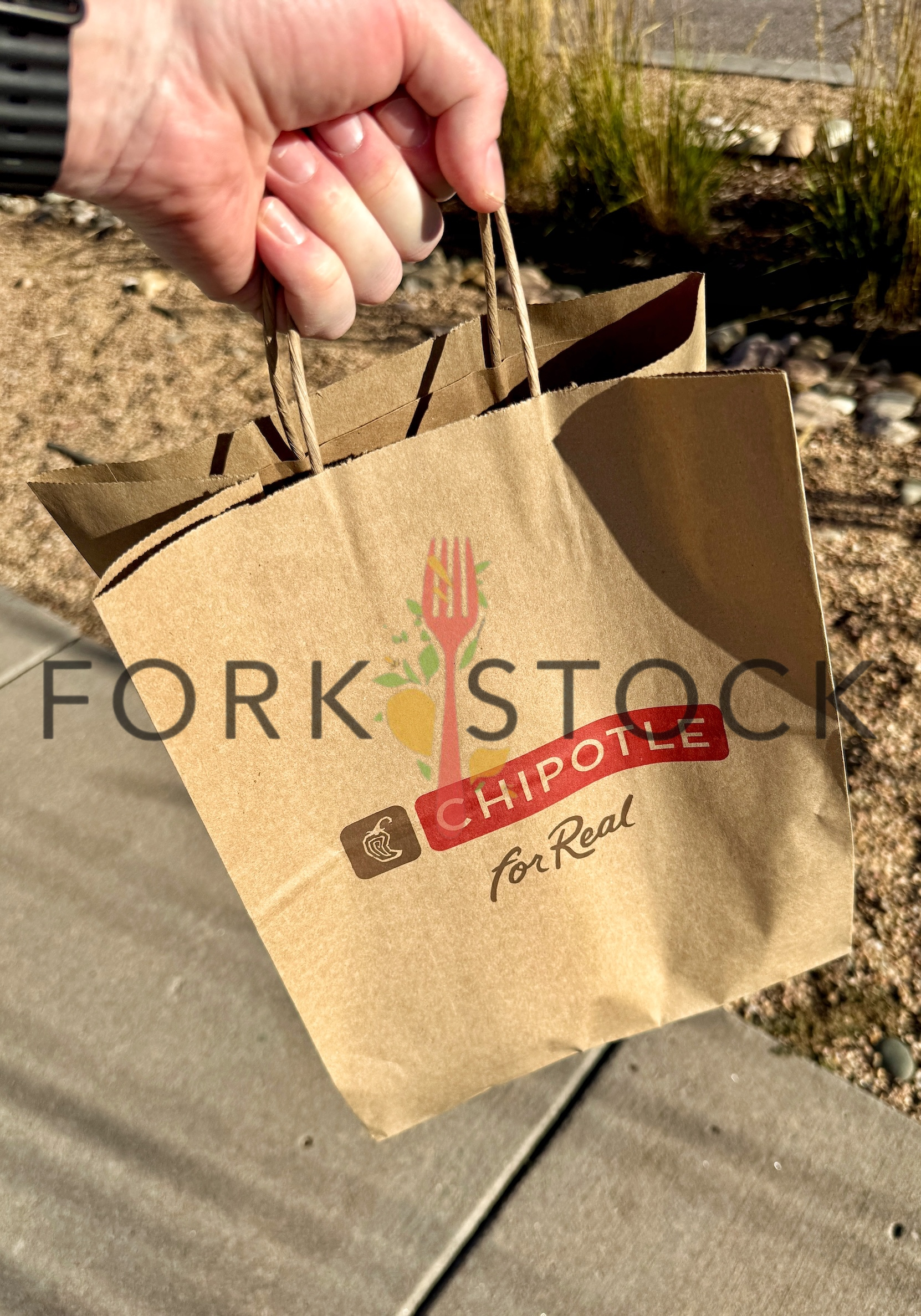 Chipotle Mexican Grill To Go Food Bag