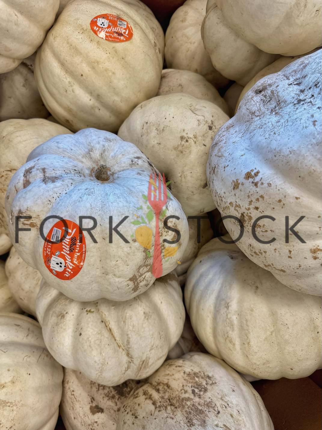 White Pumpkins On Display At A Grocery Store
